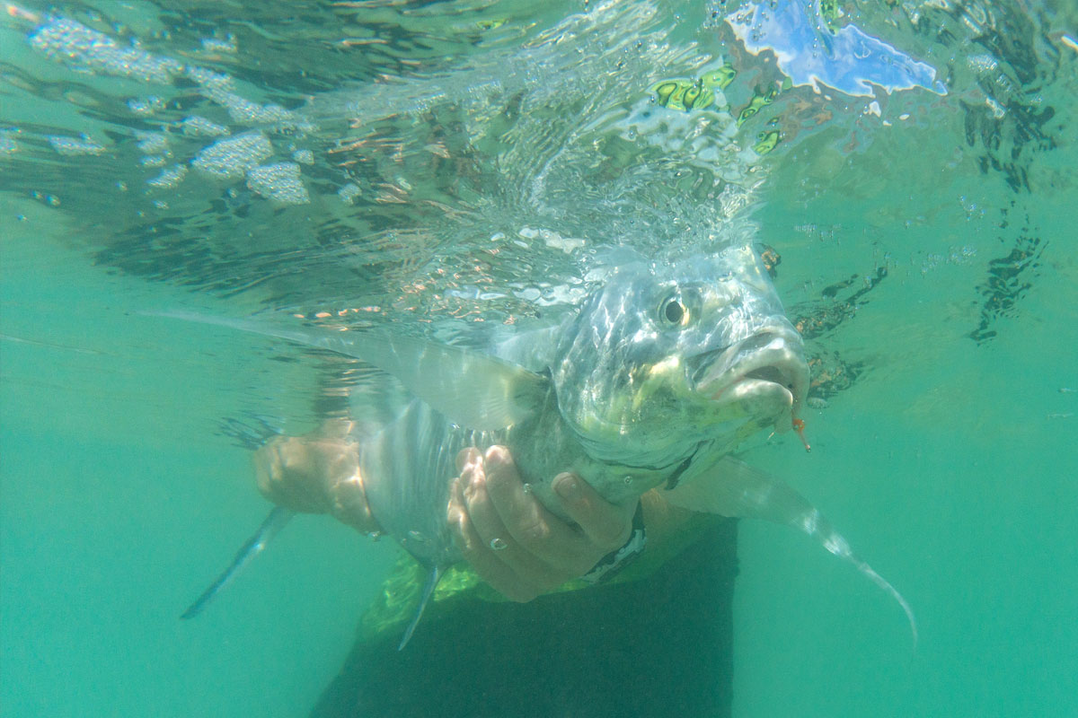 DIY fly fishing adventure molokai hawaii bonefish chasing o'io by kayak