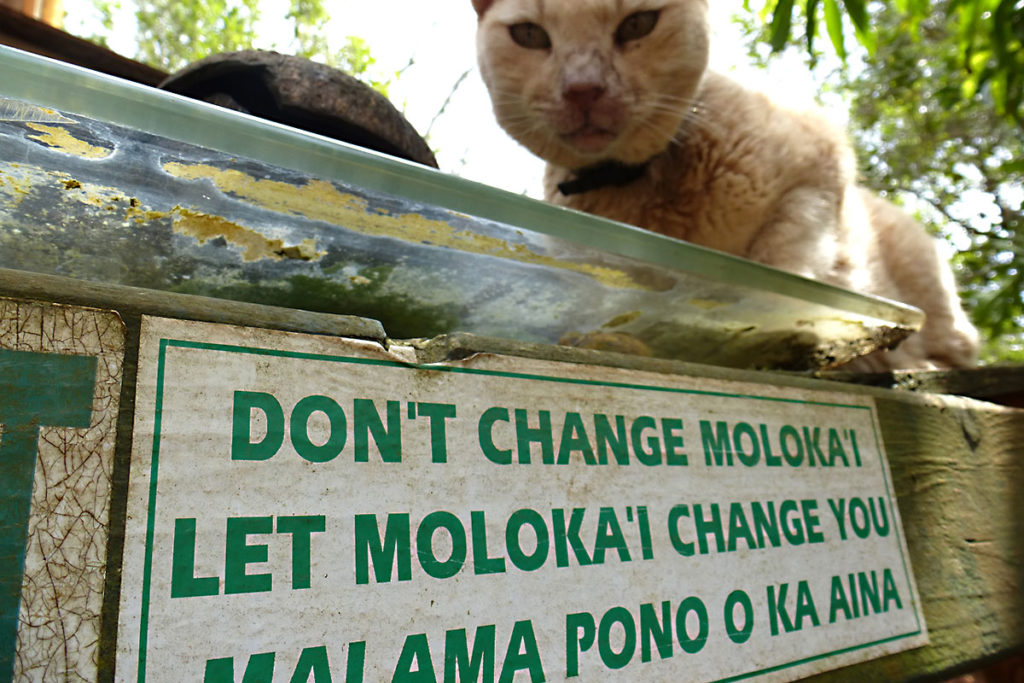DIY fly fishing adventure molokai hawaii bonefish chasing o'io by kayak