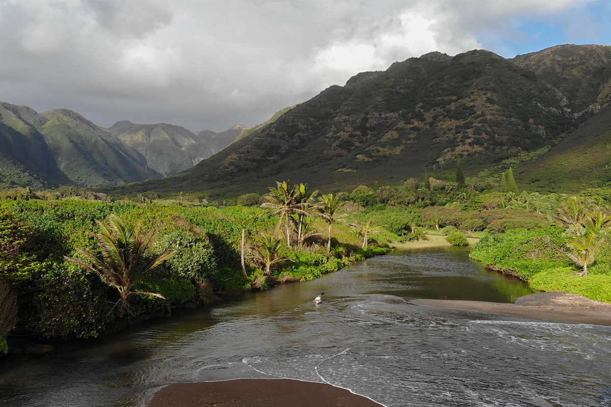 fly fishing molokai hawaii halawa valley adventure