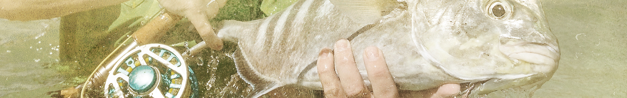 Chasing Scale DIY Fly Fishing Adventures