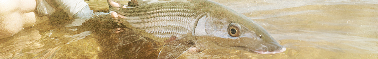 hawaii bonefish fly fishing travel adventure films photos essays