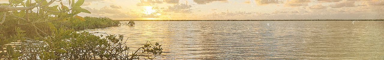 mexico sunset lagoons mangroves fly fishing travel adventure films photos essays