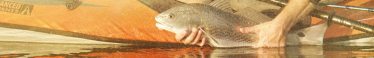 louisiana redfish fly fishing travel adventure films photos essays