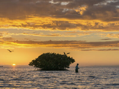 Fly Fishing Photography Portfolio Belize sunrise wading mangrove