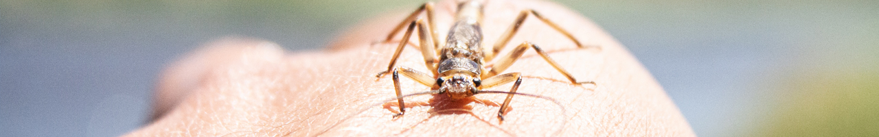 hawaii bonefish fly fishing travel adventure films photos essays