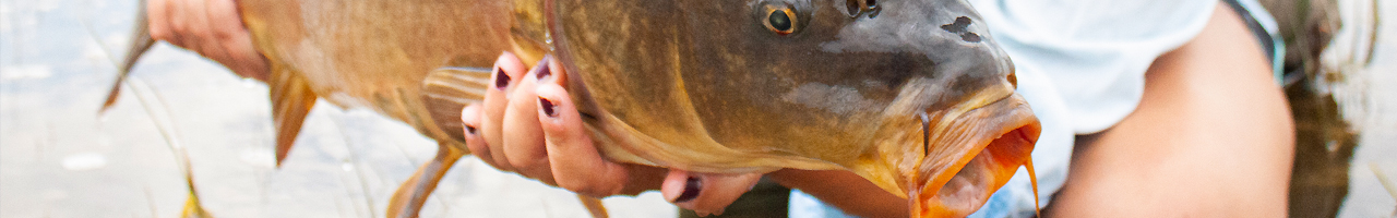 hawaii bonefish fly fishing travel adventure films photos essays