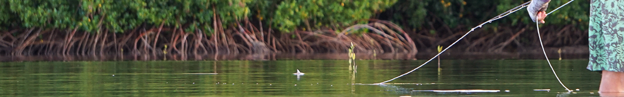 hawaii bonefish fly fishing travel adventure films photos essays