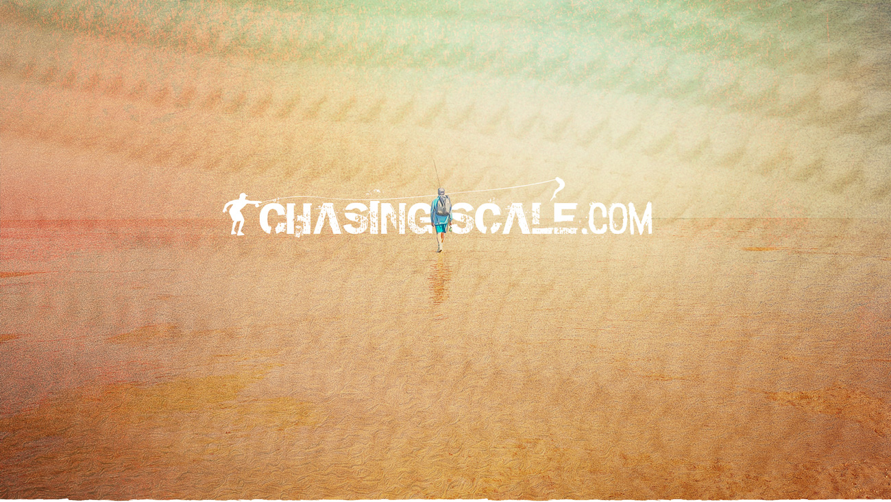 Chasing Baja